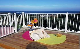 The Music House, Ilha Terceira, Açores